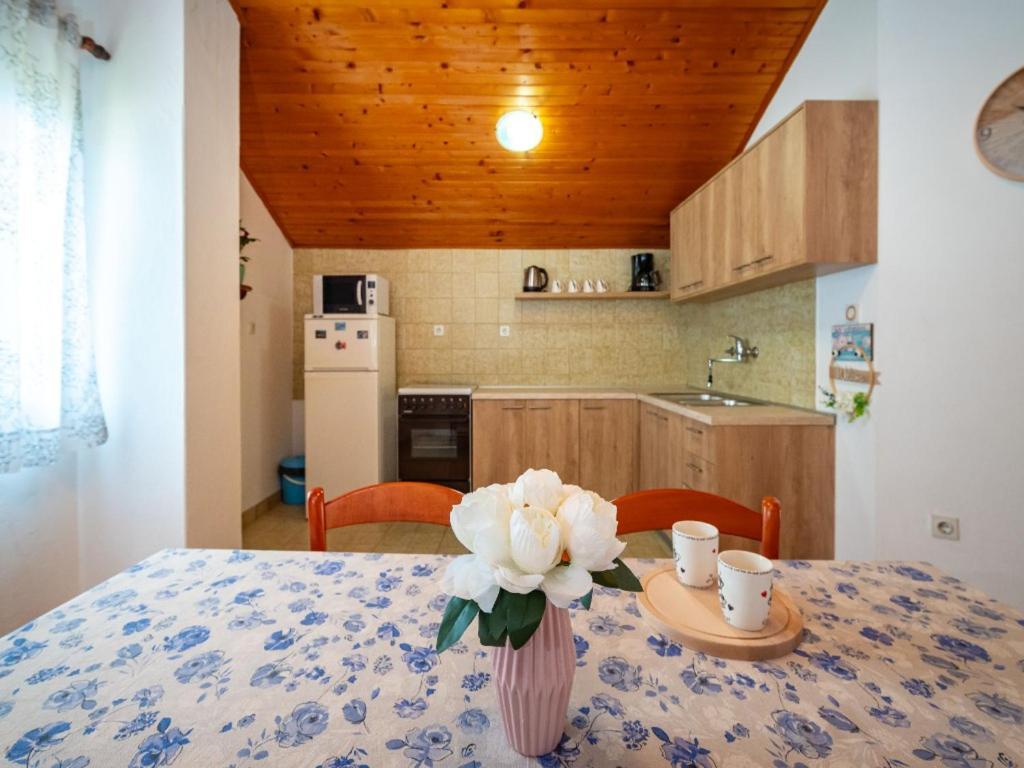 Apartment Matkos - With Garden And Terrace Nin Exterior photo
